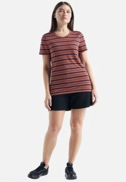 Icebreaker Merino Wave Ss Tee Stripe - T-Shirt Imprimé - Grape/Midnavy/S